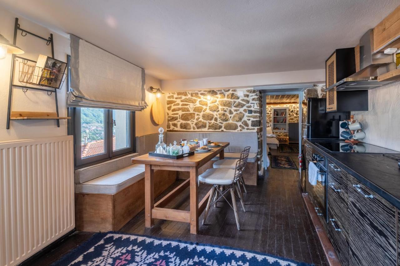 Dandy Villas Metsovo-Mezzo-Down Town-Up 5 Εξωτερικό φωτογραφία